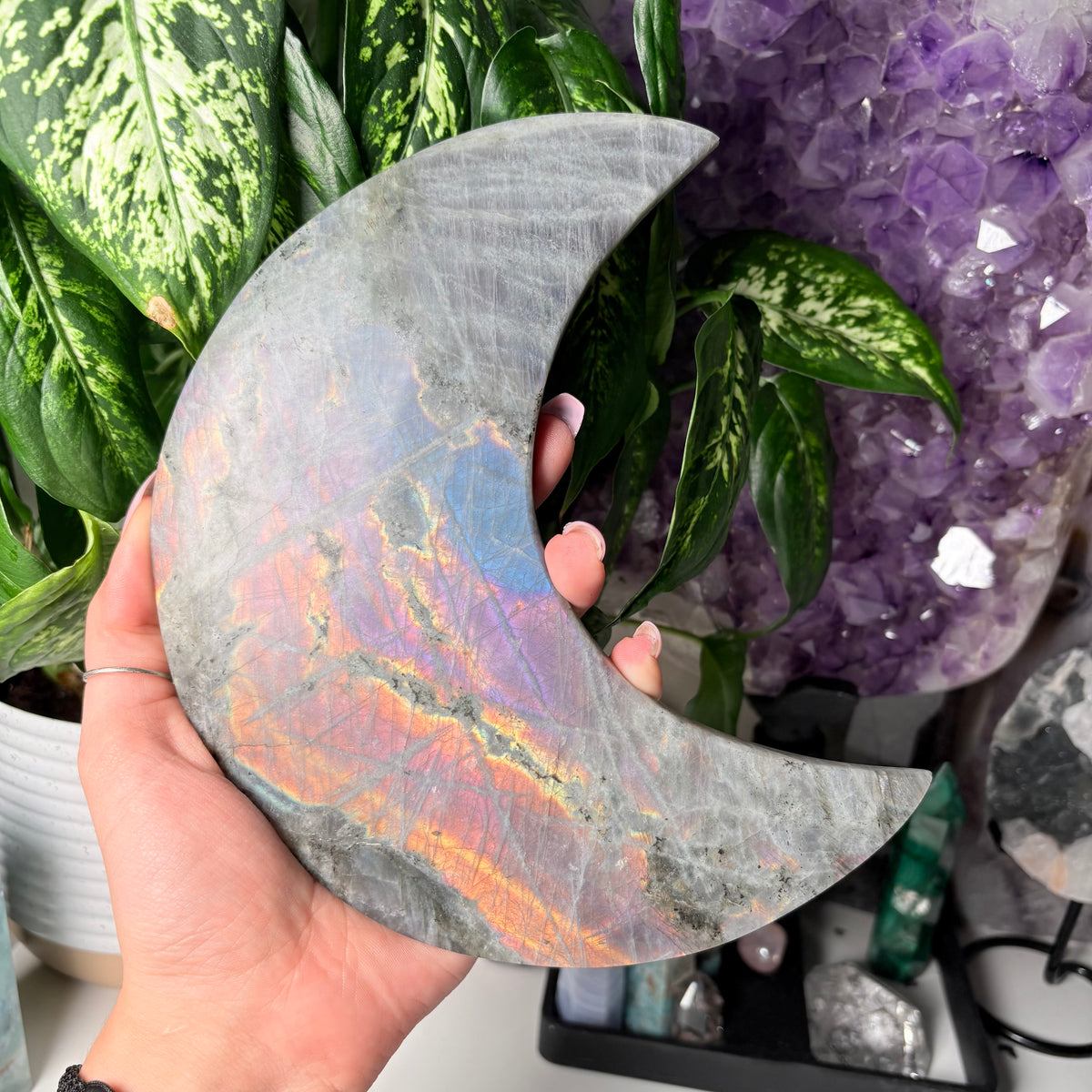 LABRADORITE MOONS