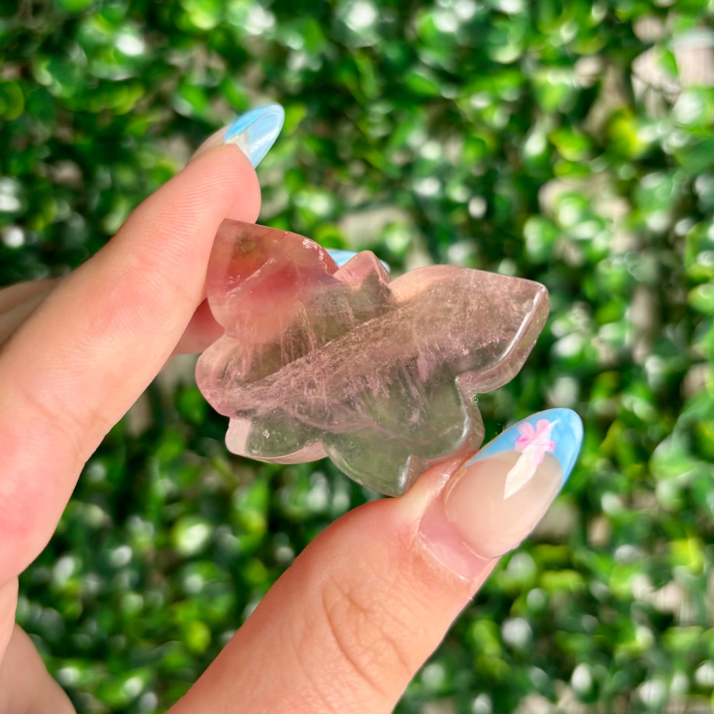 FLUORITE BUTTERFLY