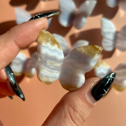 BLUE LACE AGATE BUTTERFLY - SMALL