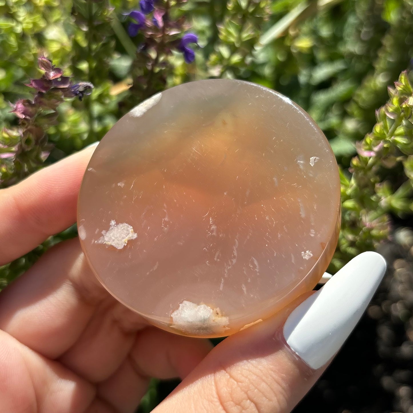 FLOWER AGATE SLICES