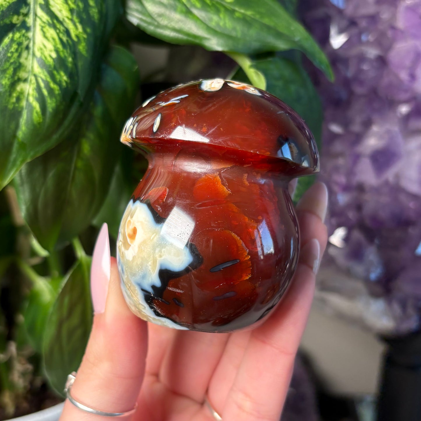 CARNELIAN MUSHROOM