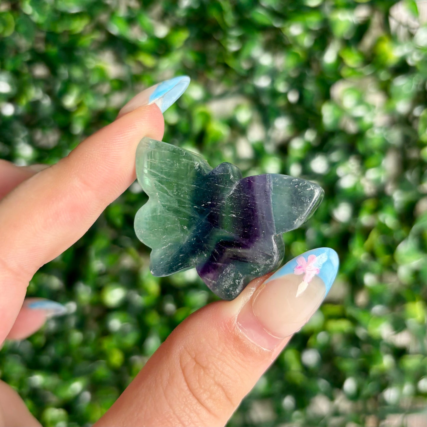 FLUORITE BUTTERFLY