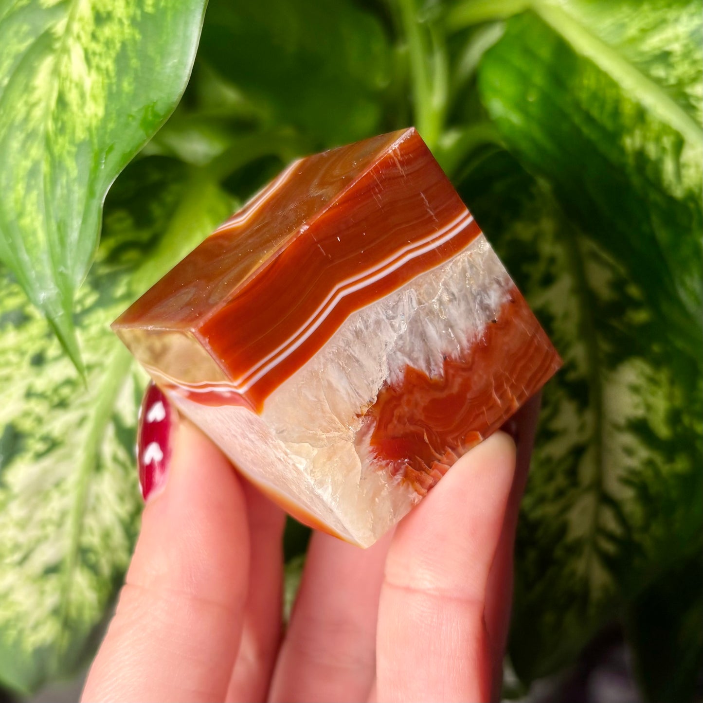 CARNELIAN CUBES