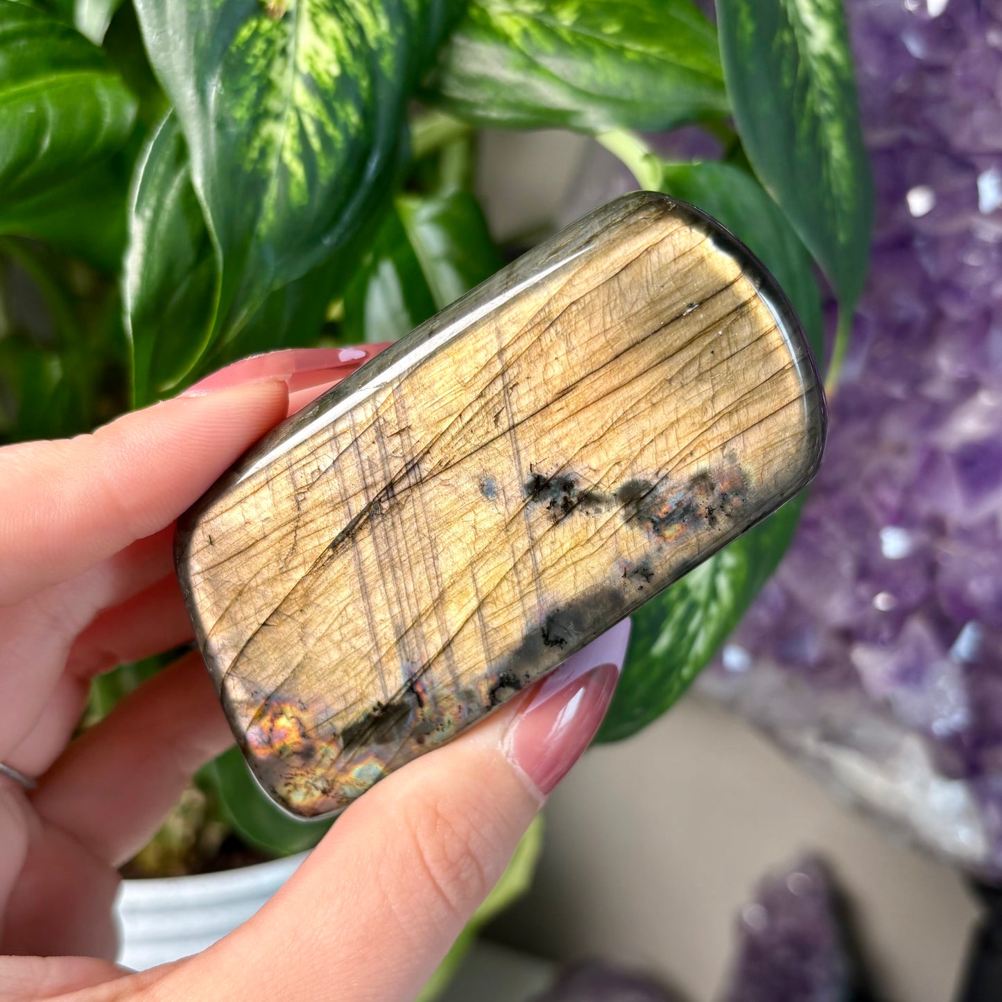 LABRADORITE FREEFORMS