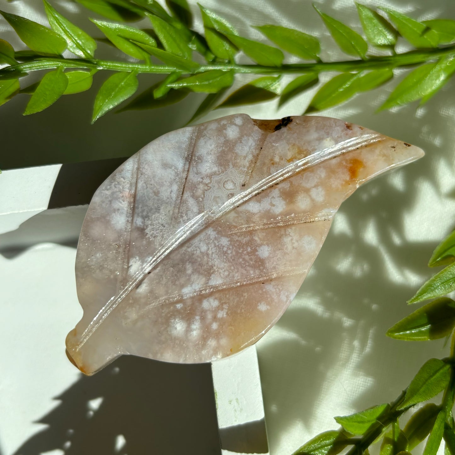 FLOWER AGATE LEAVES