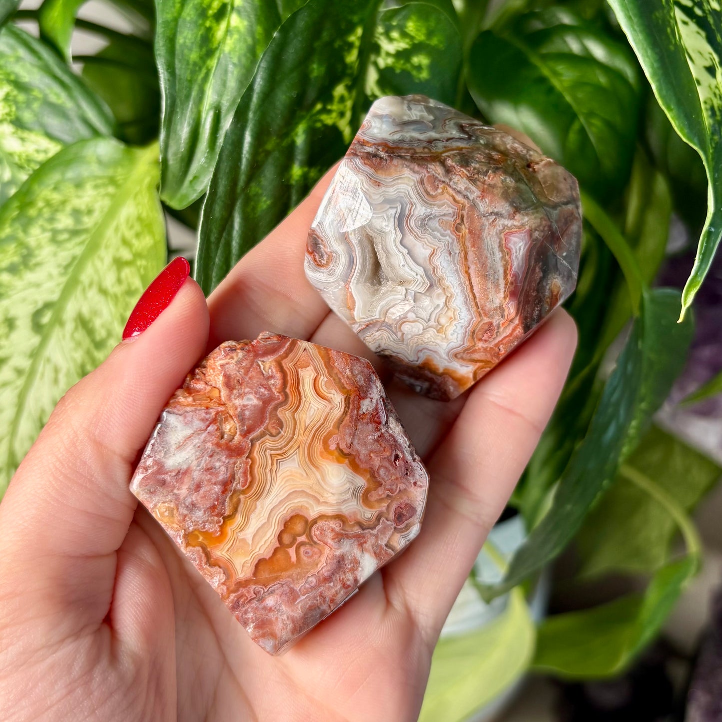 MOROCCAN AGATE FREEFORMS