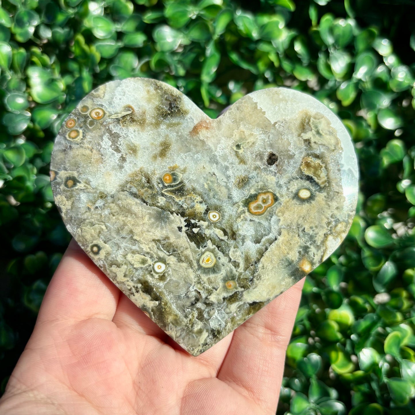 8TH VEIN OCEAN JASPER HEART