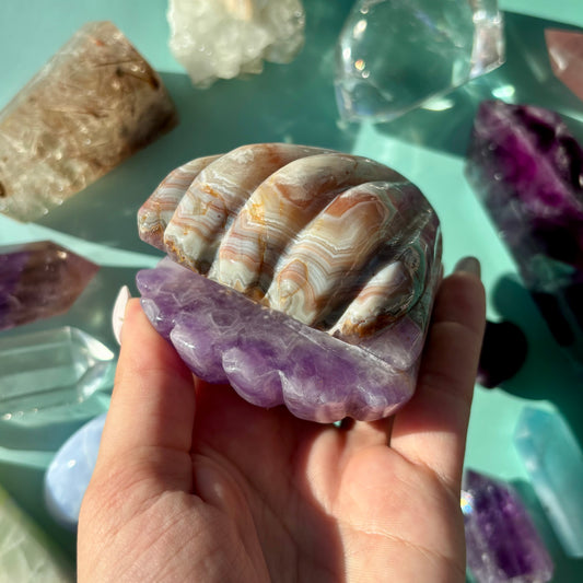 MOROCCAN AGATE / AMETHYST CLAMS