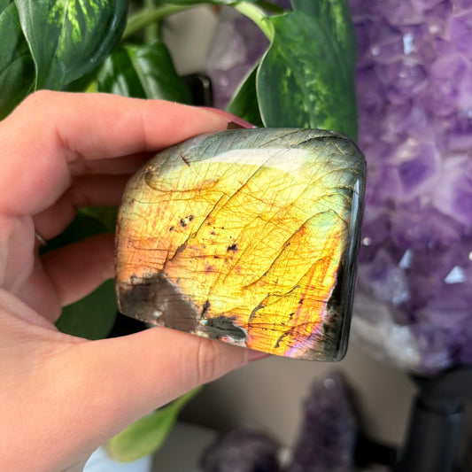 LABRADORITE FREEFORMS