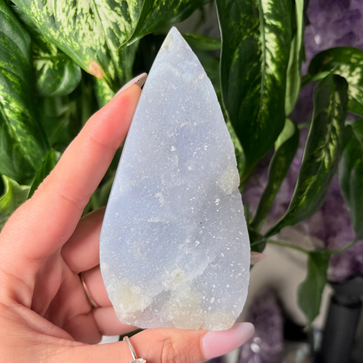 BLUE LACE AGATE FREEFORMS