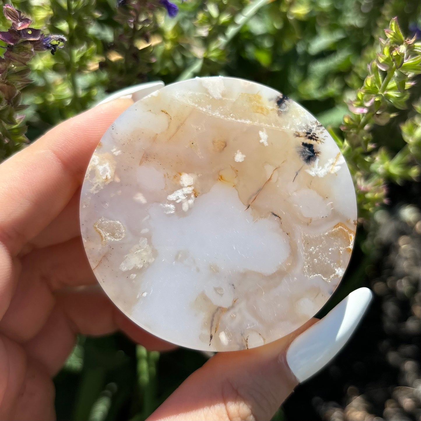 FLOWER AGATE SLICES