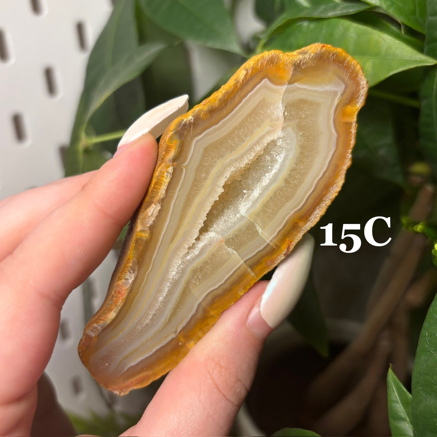 DRUZY AGATE SLABS