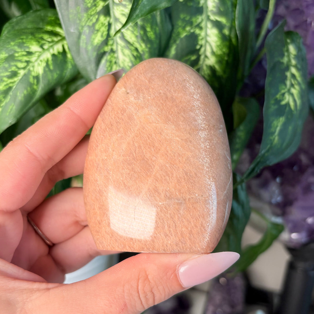 PEACH MOONSTONE FREEFORMS