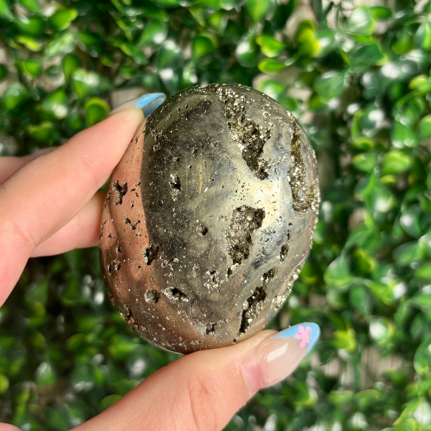PYRITE PALMSTONES