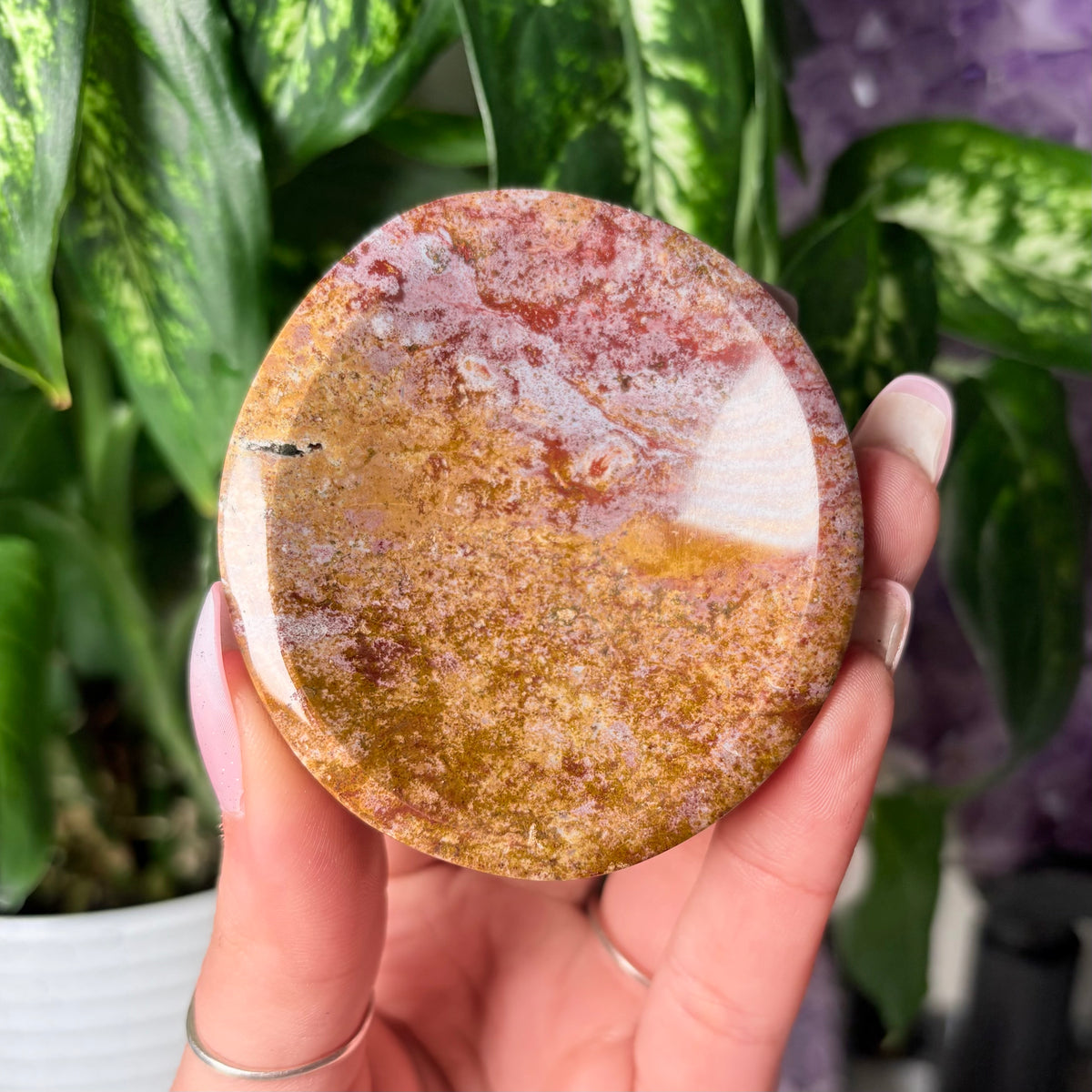 OCEAN JASPER BOWLS