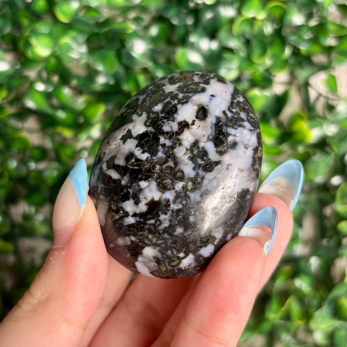 INDIGO GABBRO PALMSTONES