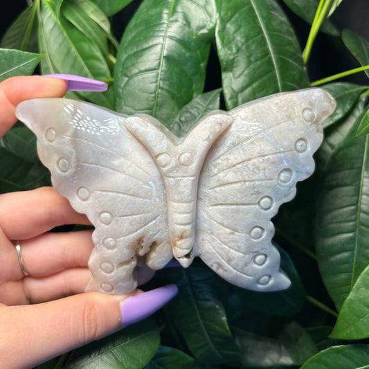 FLOWER AGATE BUTTERFLY