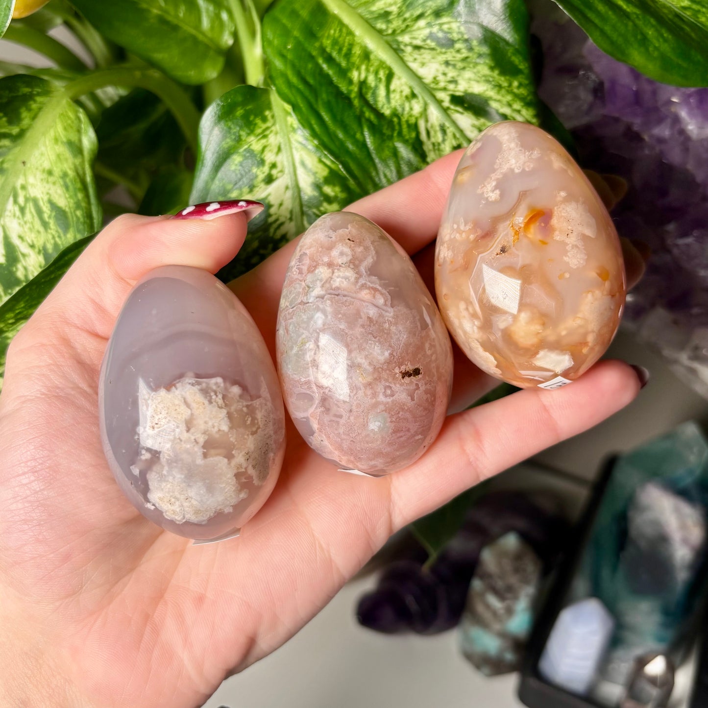 FLOWER AGATE EGGS
