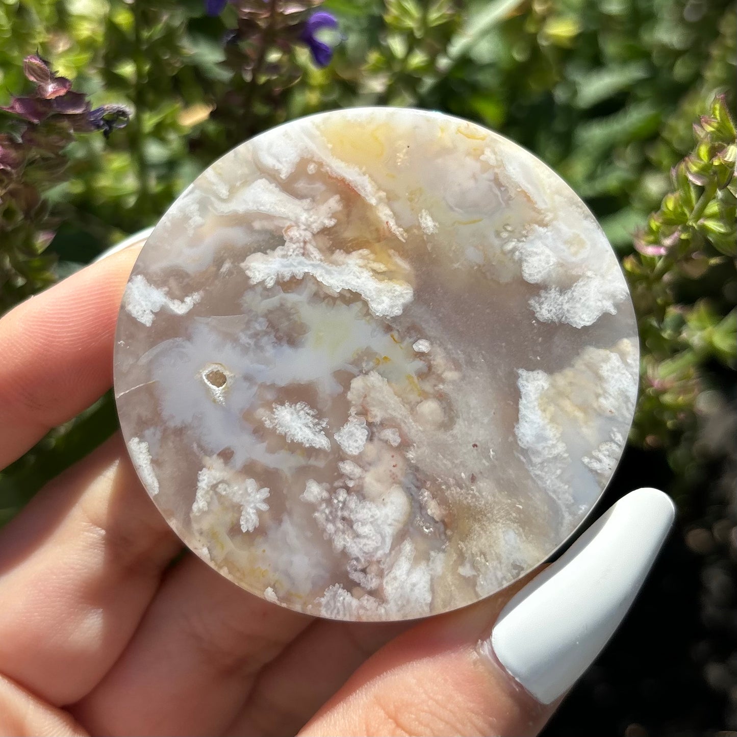 FLOWER AGATE SLICES