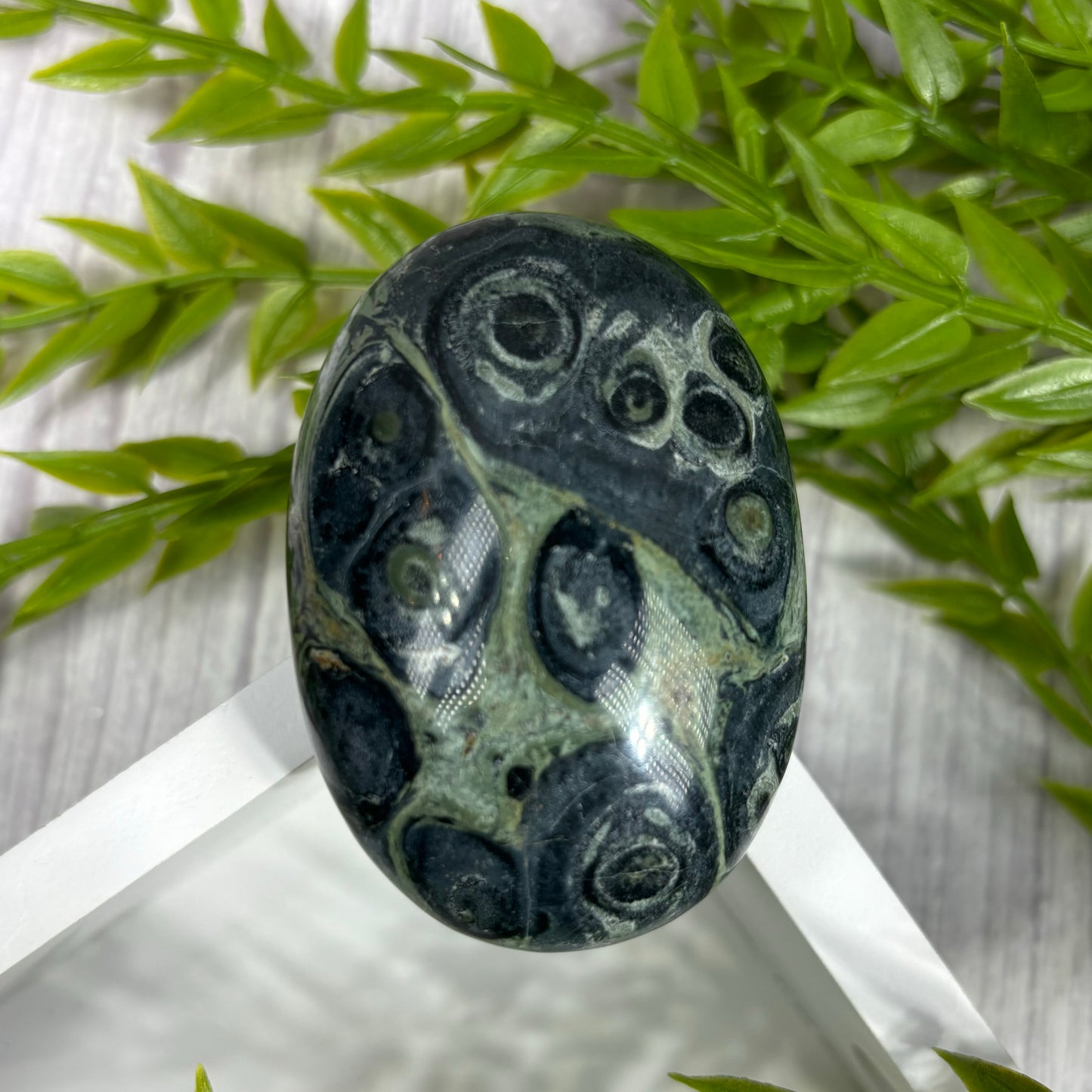 KAMBABA JASPER PALMSTONES