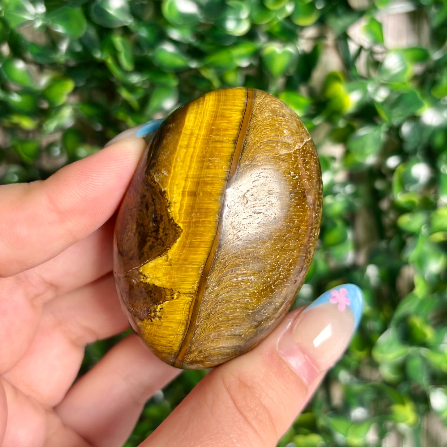 TIGERS EYE PALMSTONES