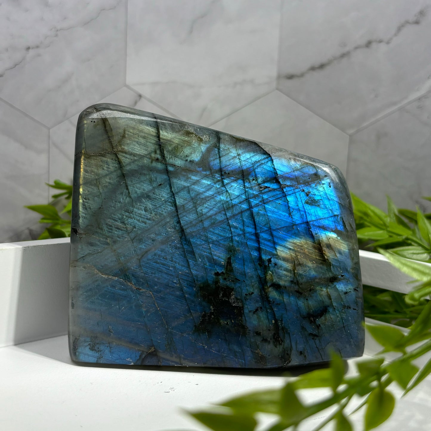 LABRADORITE FREEFORMS