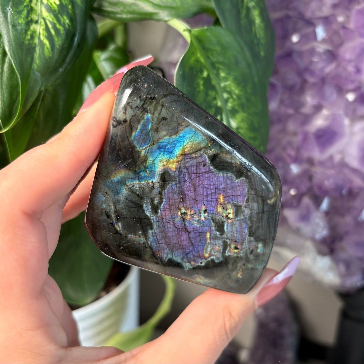 LABRADORITE FREEFORMS