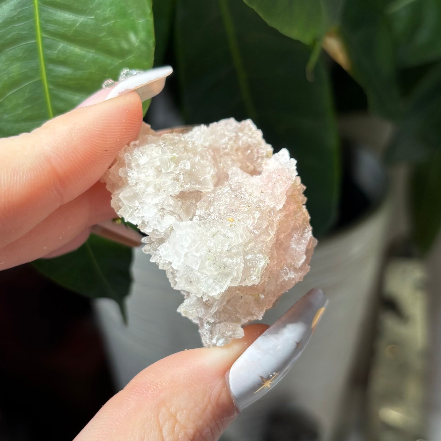 PINK HALITE SPECIMENS