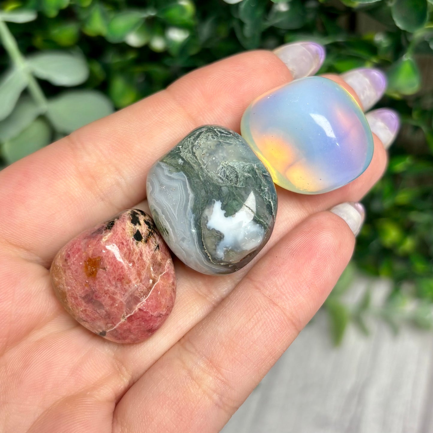 FAIRY TUMBLE BUNDLE
