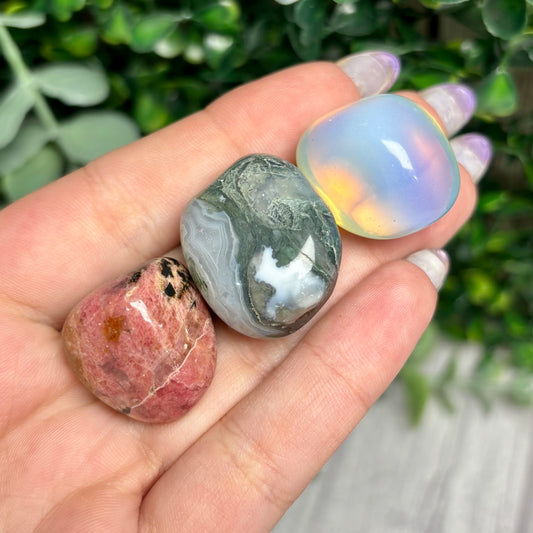 FAIRY TUMBLE BUNDLE