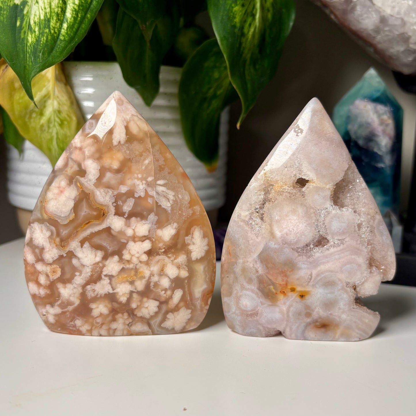 FLOWER AGATE FREEFORMS