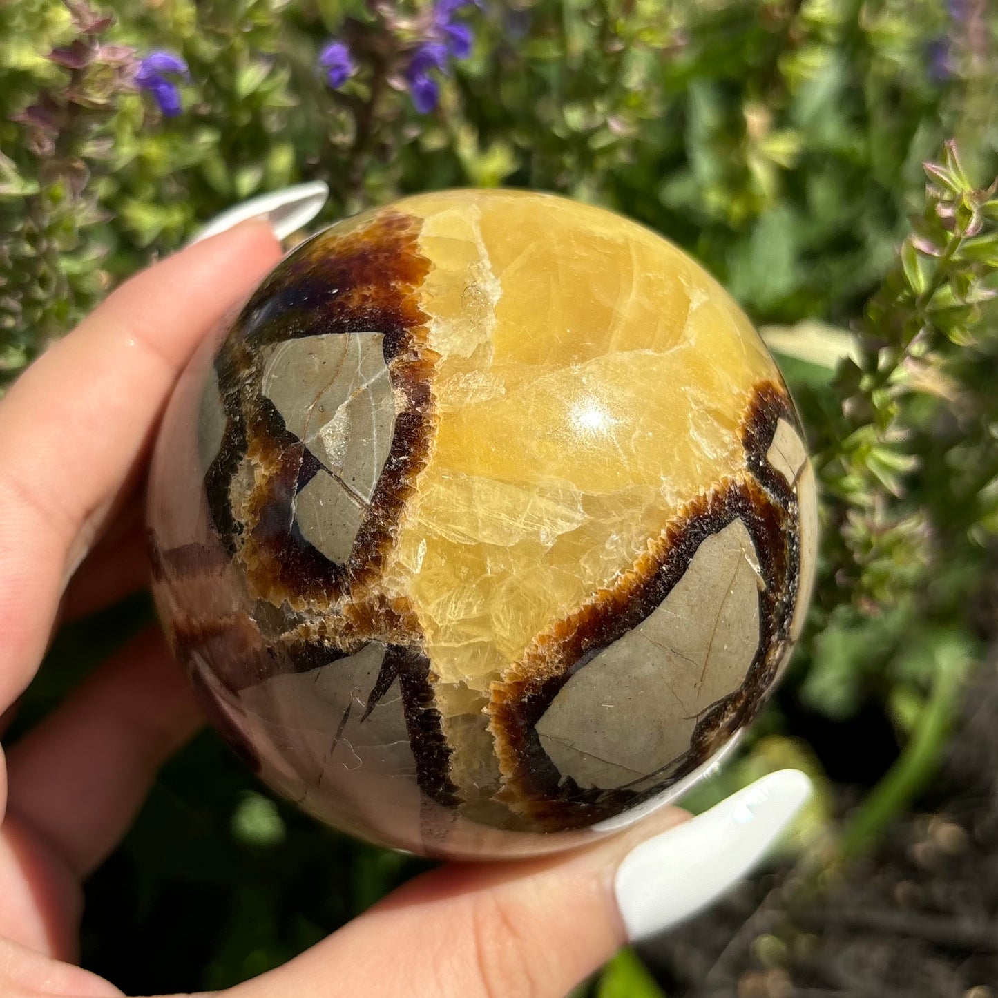 SEPTARIAN SPHERES