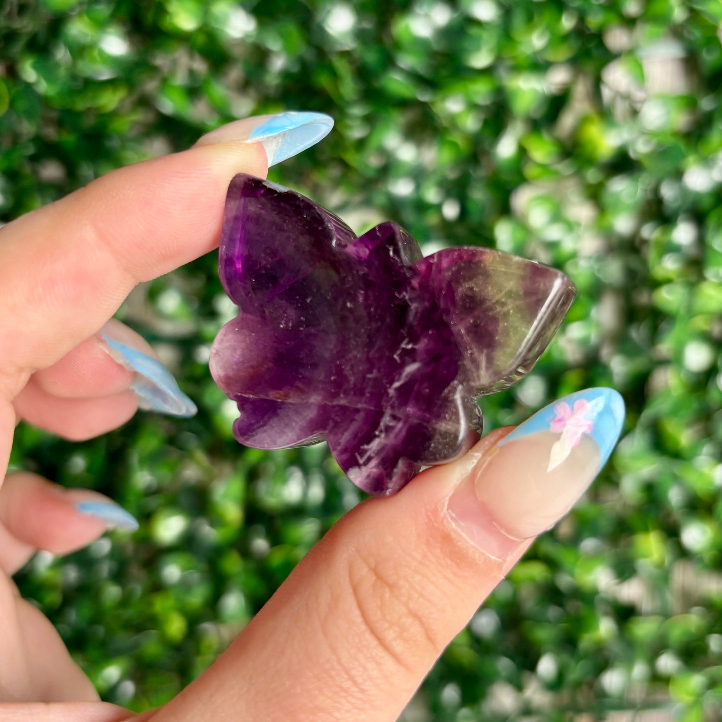 FLUORITE BUTTERFLY