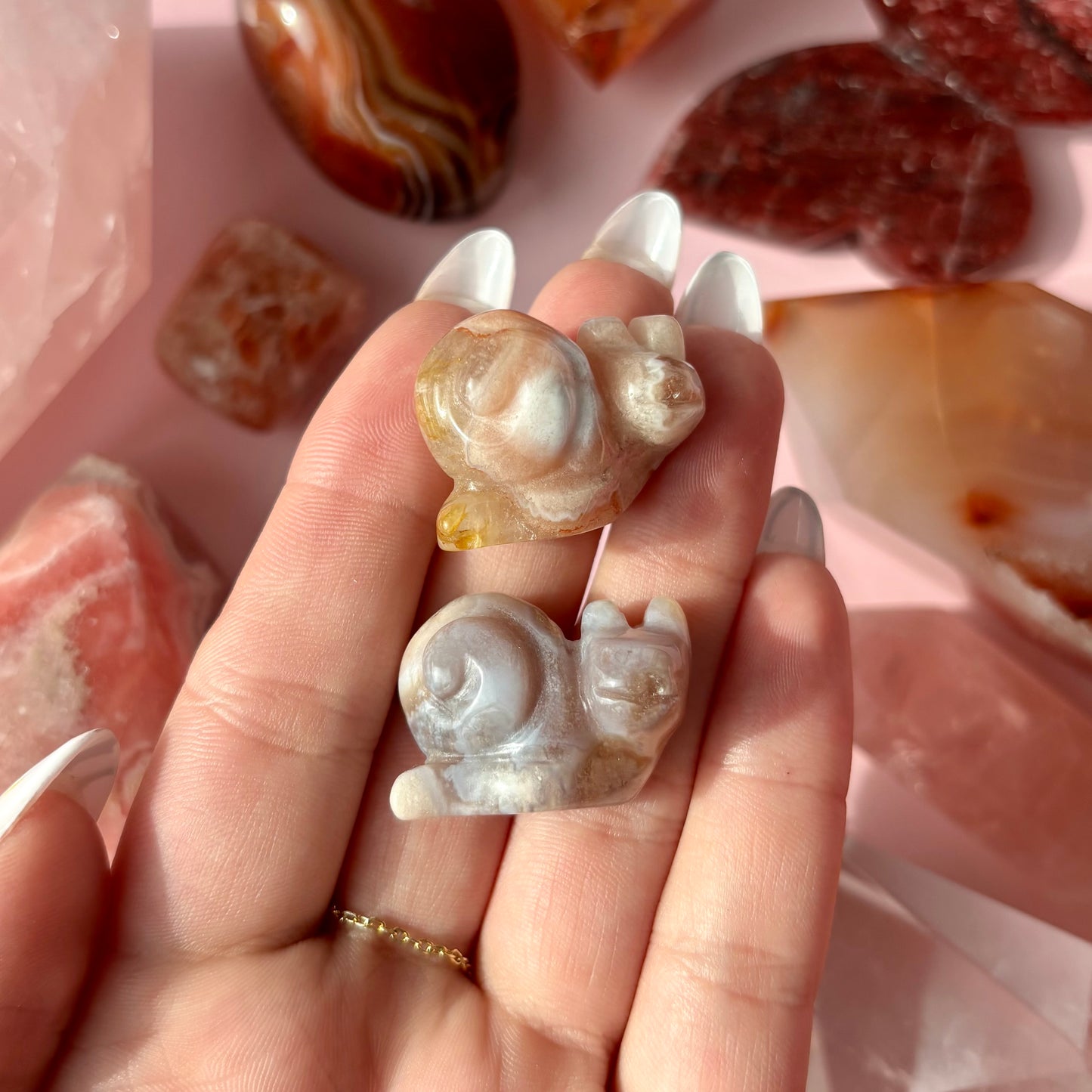 FLOWER AGATE SNAIL