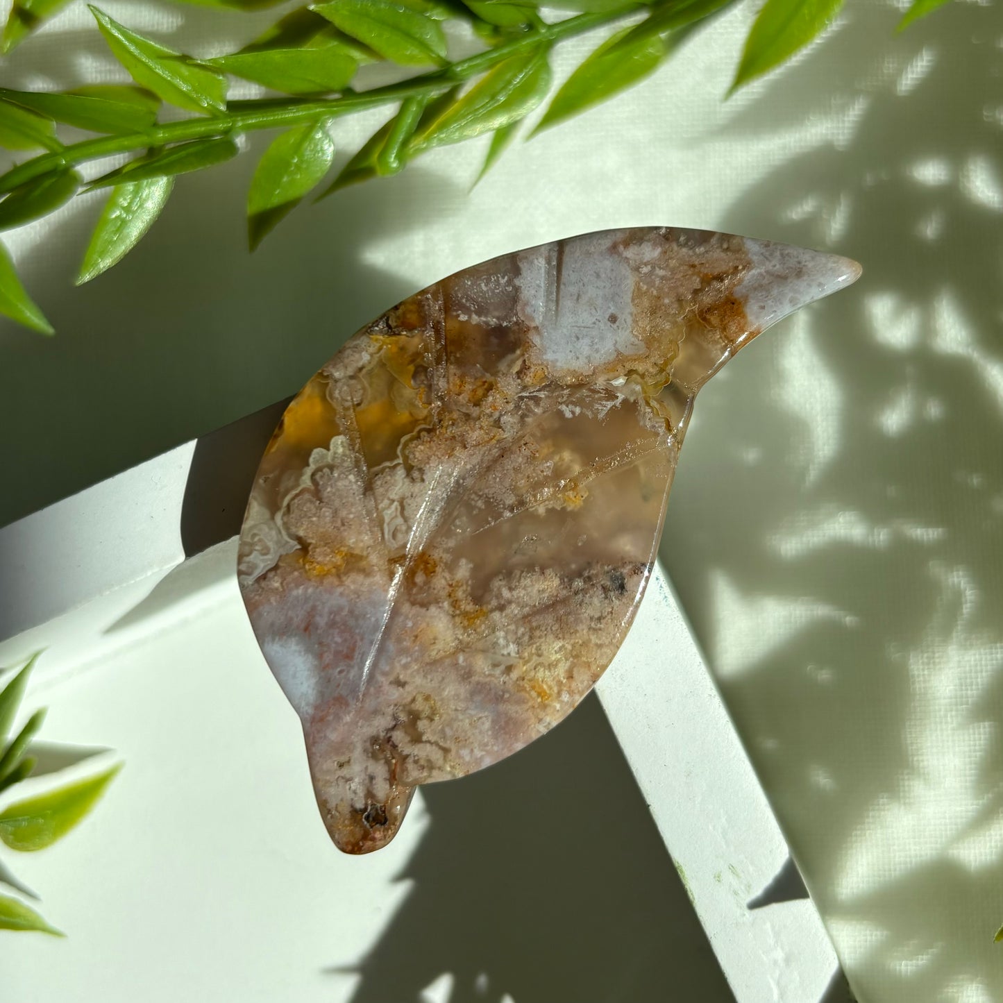 FLOWER AGATE LEAVES