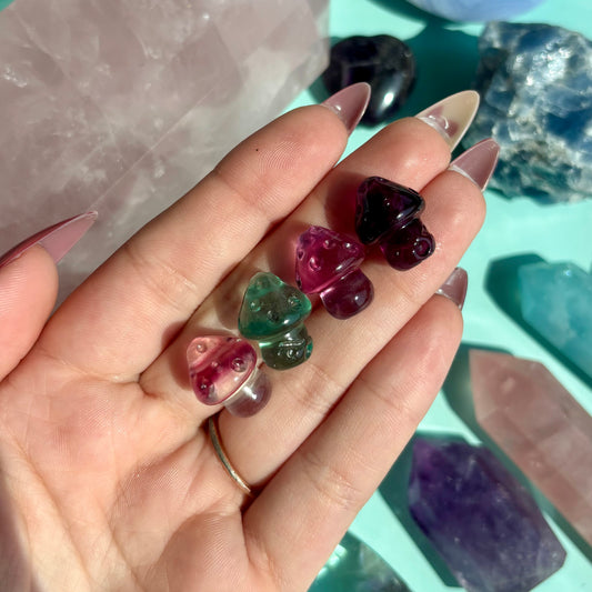 FLUORITE MUSHROOM HOME - MINI
