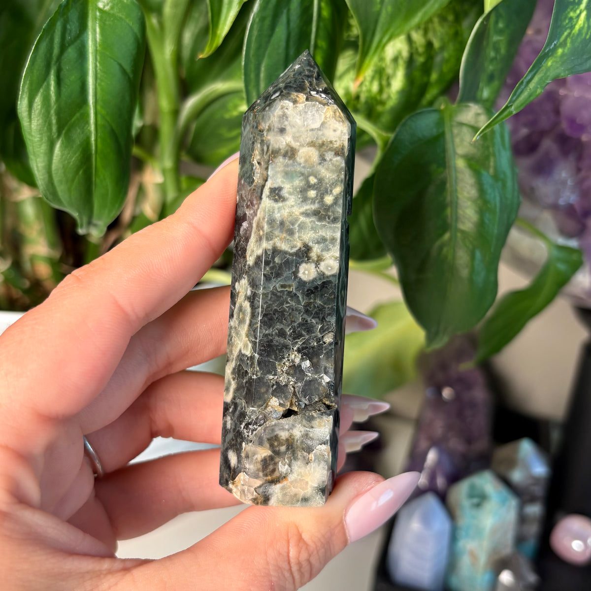 SEA JASPER TOWERS