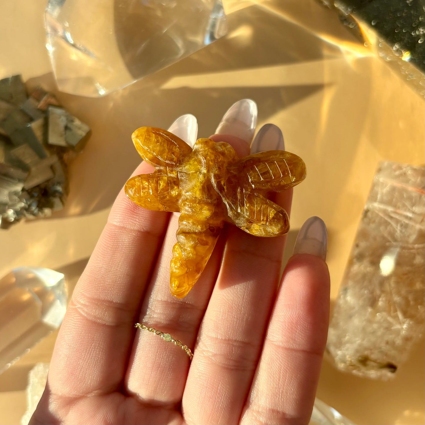 GOLDEN HEALER DRAGONFLY