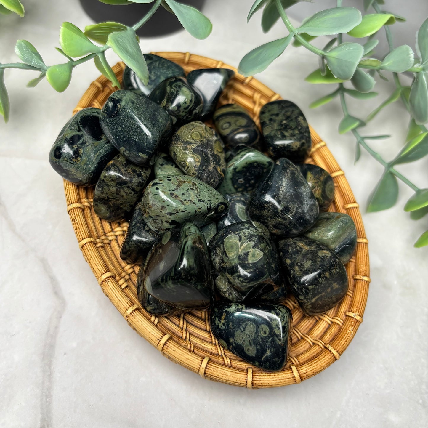 KAMBABA JASPER TUMBLE