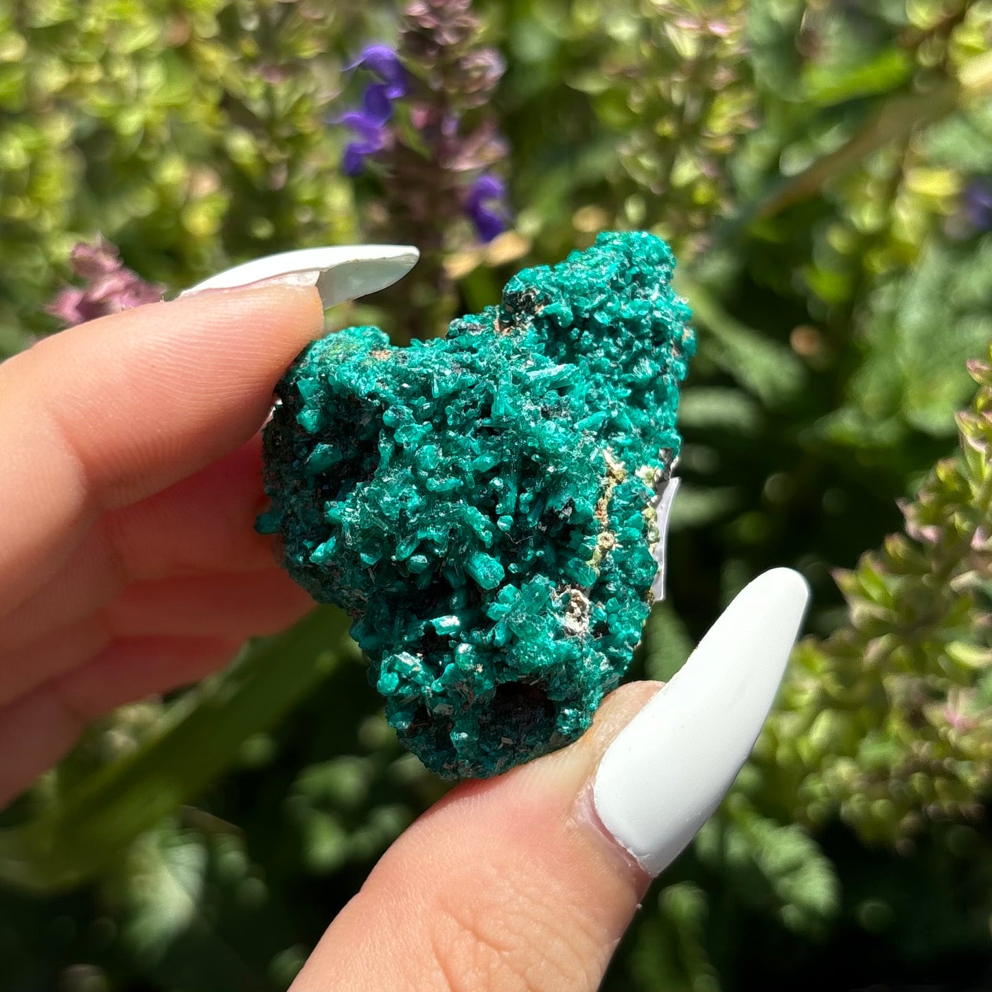 DIOPTASE SPECIMENS