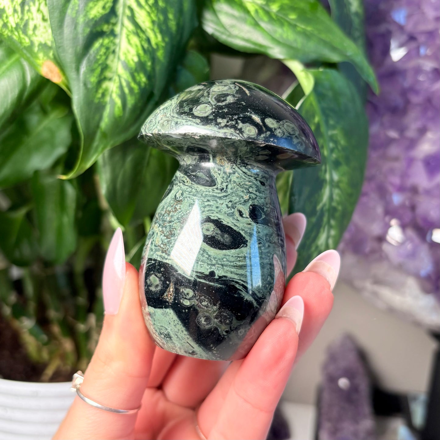 KAMBABA JASPER MUSHROOM