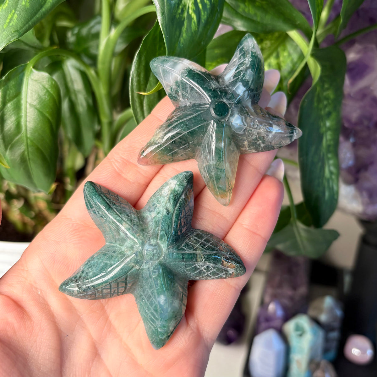 MOSS AGATE STARFISH