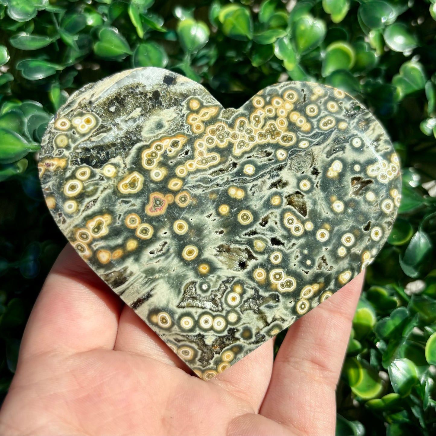8TH VEIN OCEAN JASPER HEART
