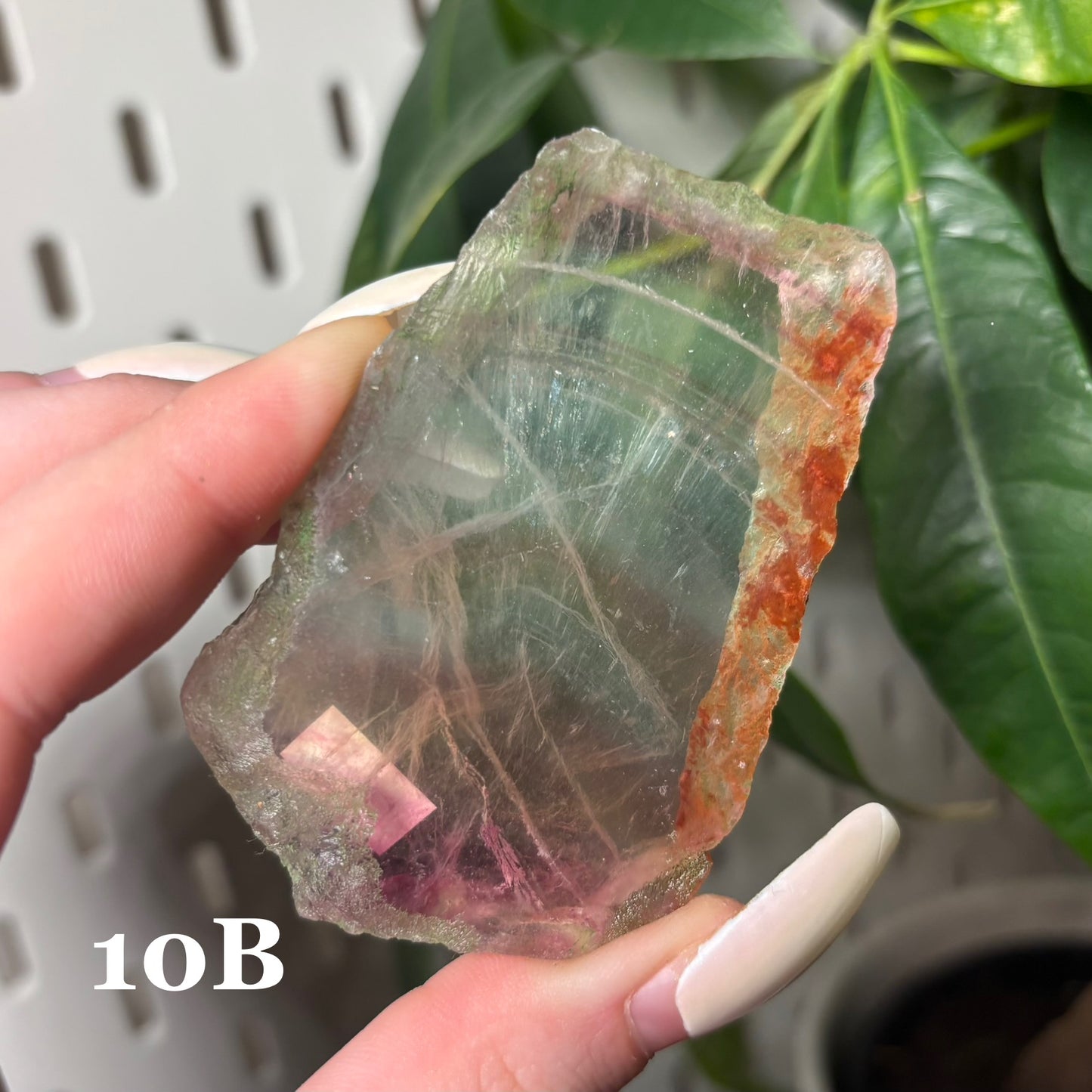 FLUORITE SLABS