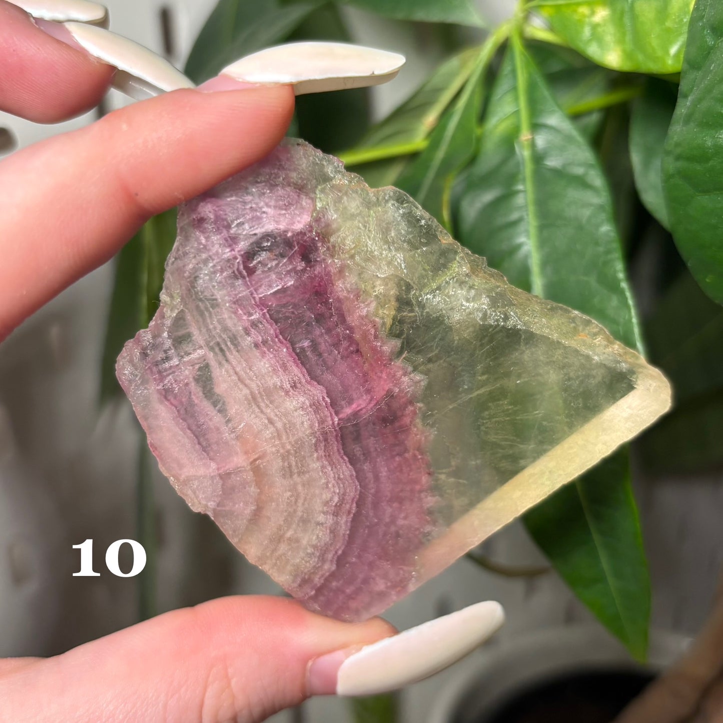 FLUORITE SLABS