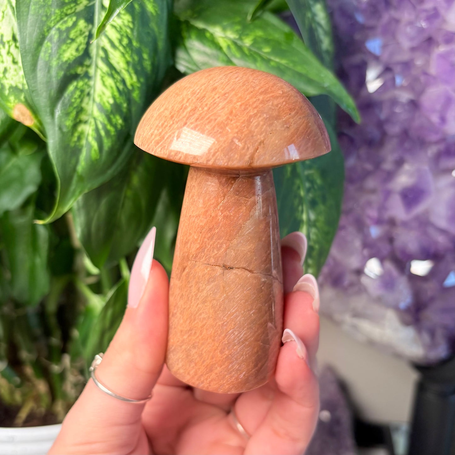 PEACH MOONSTONE MUSHROOM
