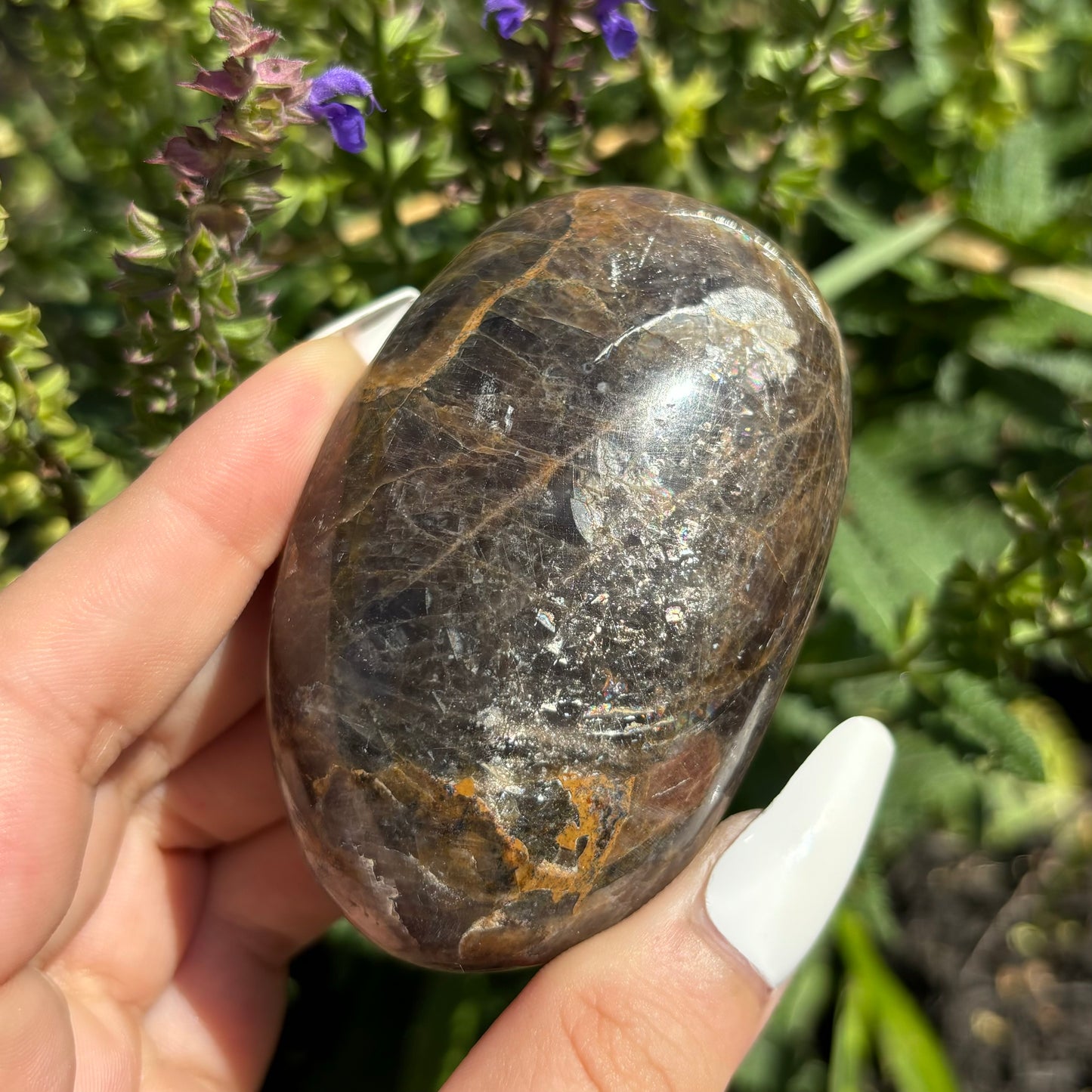 BLACK MOONSTONE PALMSTONES