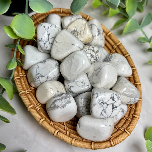 HOWLITE TUMBLE