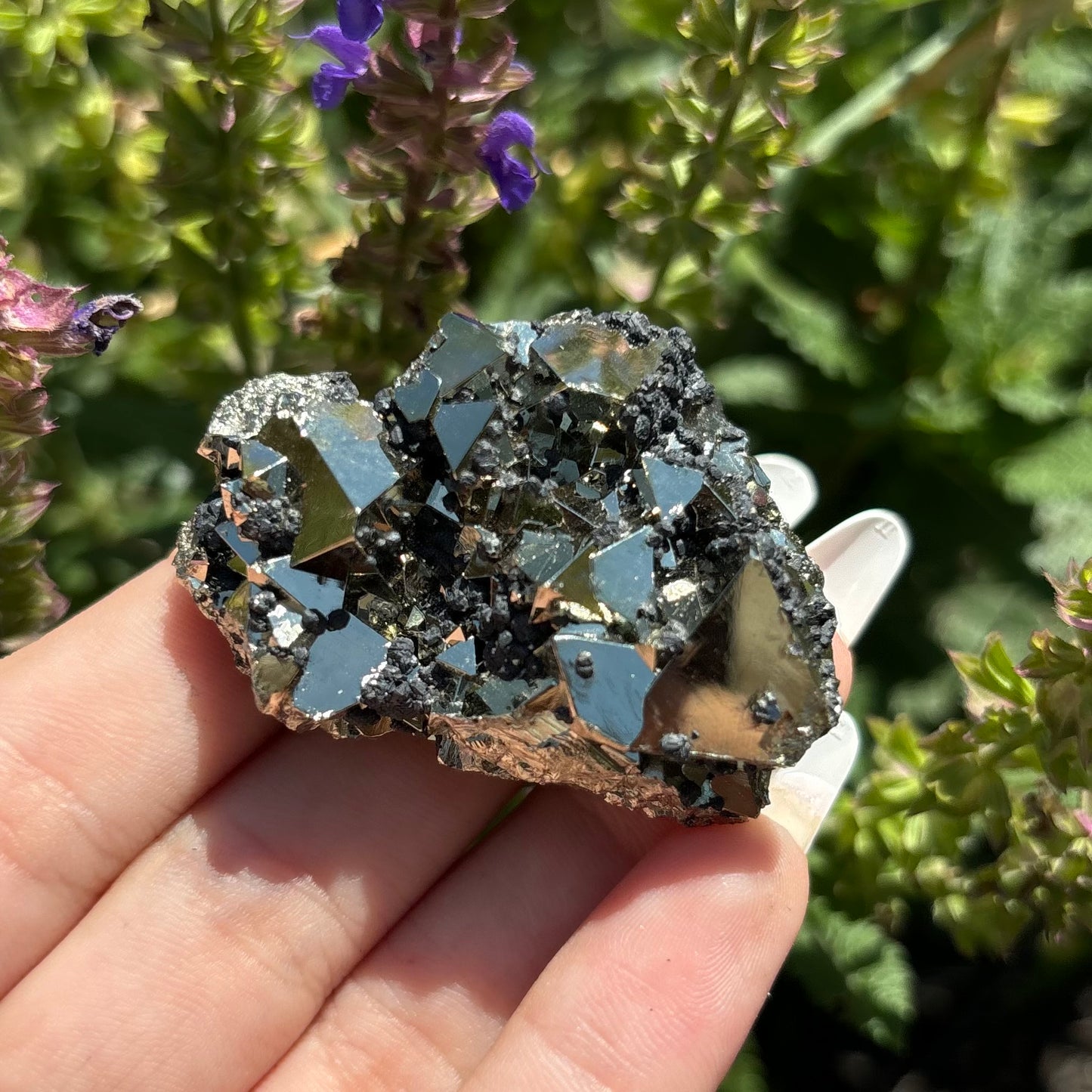 PYRITE CLUSTERS