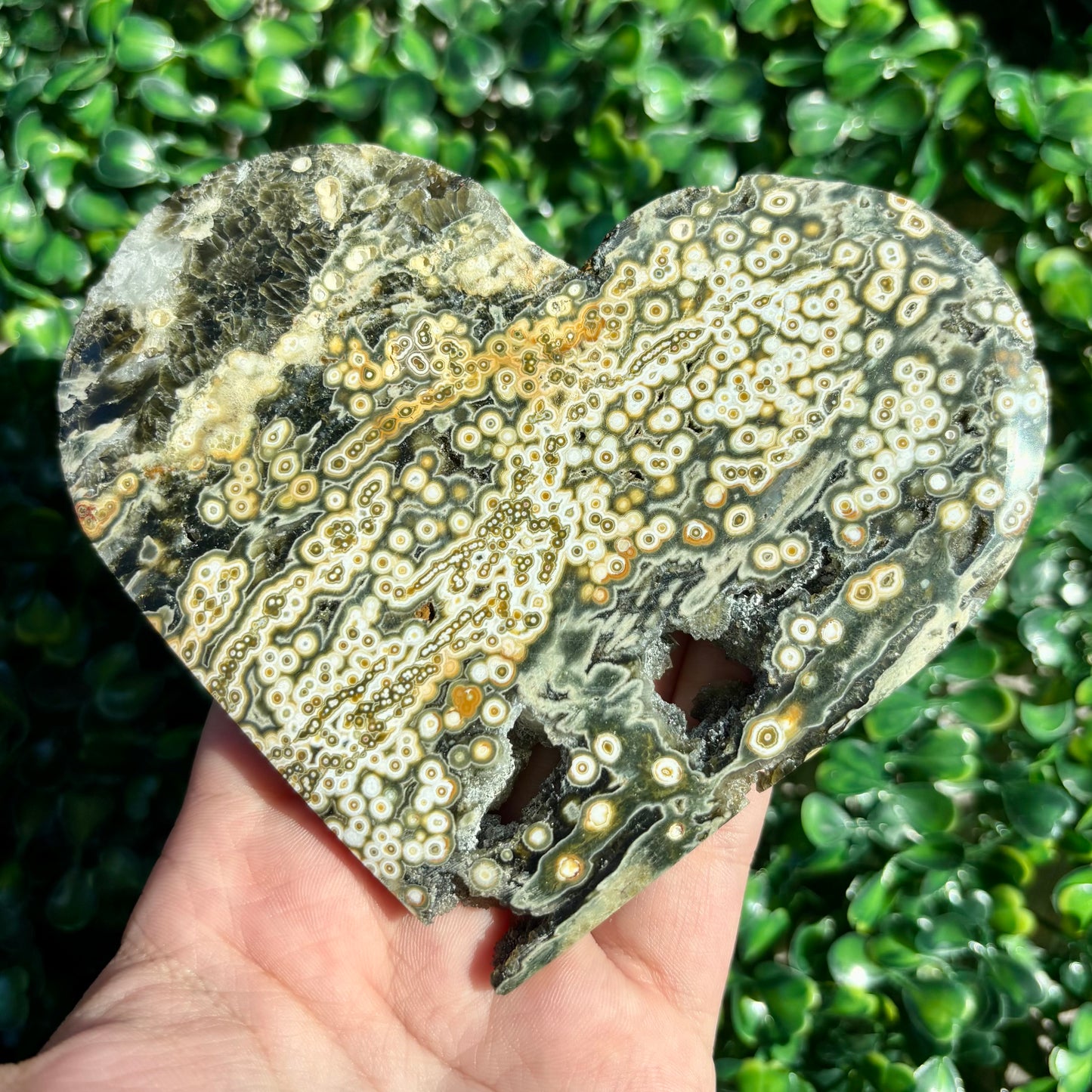 8TH VEIN OCEAN JASPER HEART